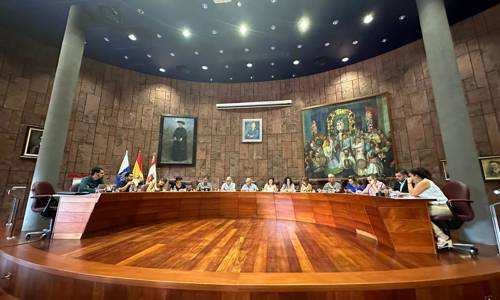 Imagen de El Cabildo aprueba una declaración institucional de compromiso con la lucha contra la violencia de género
